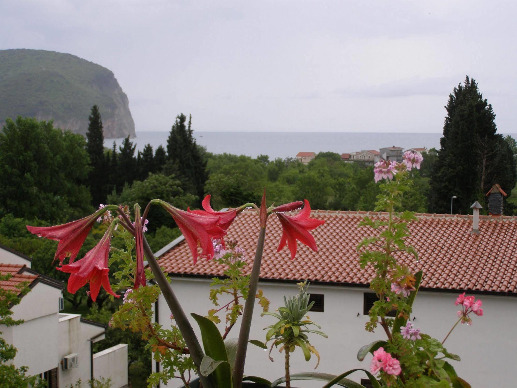 Hotel Wellness & Spa Angelo Gabriel Petrovac Exterior foto